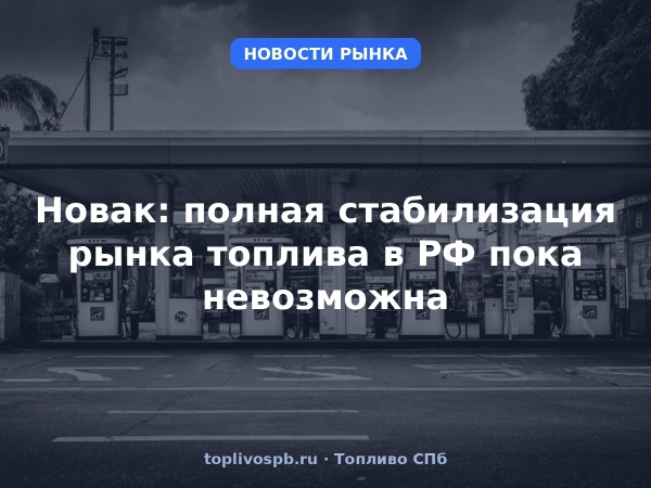 Новак: полная стабилизация рынка топлива в РФ пока невозможна