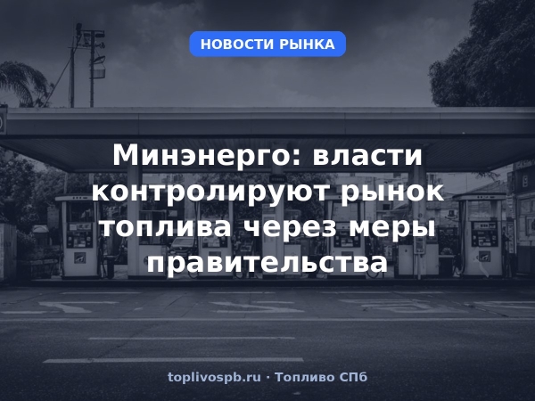 Минэнерго: власти контролируют рынок топлива через меры правительства