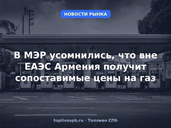 В МЭР усомнились, что вне ЕАЭС Армения получит сопоставимые цены на газ