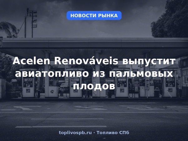 Acelen Renováveis выпустит авиатопливо из пальмовых плодов