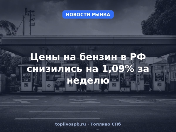 Цены на бензин в РФ снизились на 1,09% за неделю