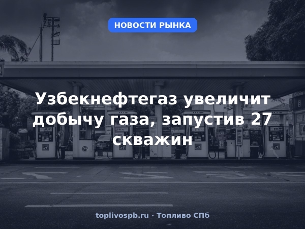 Узбекнефтегаз увеличит добычу газа, запустив 27 скважин