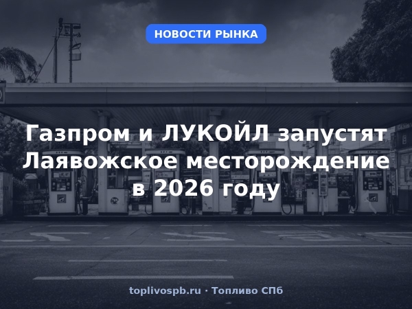 Газпром и ЛУКОЙЛ запустят Лаявожское месторождение в 2026 году