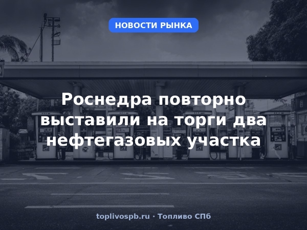 Роснедра повторно выставили на торги два нефтегазовых участка