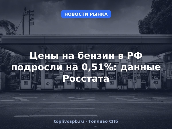 Цены на бензин в РФ подросли на 0,51%: данные Росстата