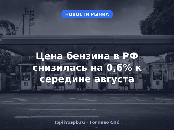 Цена бензина в РФ снизилась на 0,6% к середине августа