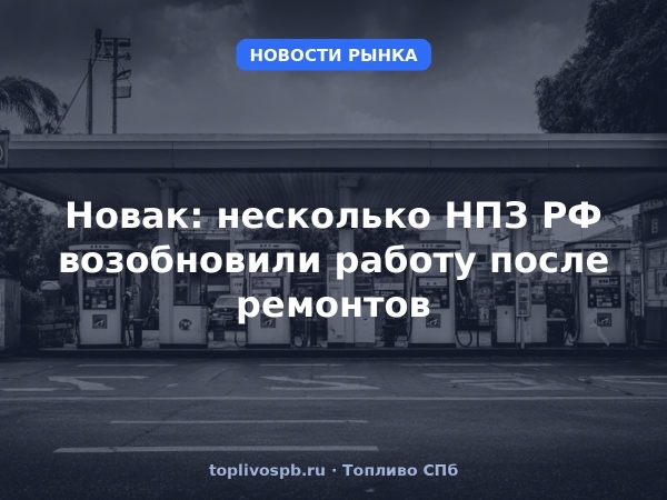 Новак: несколько НПЗ РФ возобновили работу после ремонтов