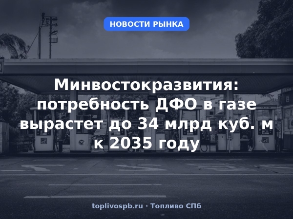 Минвостокразвития: потребность ДФО в газе вырастет до 34 млрд куб. м к 2035 году