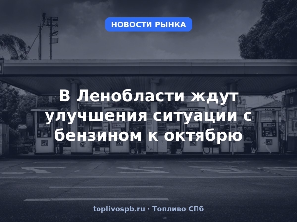 В Ленобласти ждут улучшения ситуации с бензином к октябрю