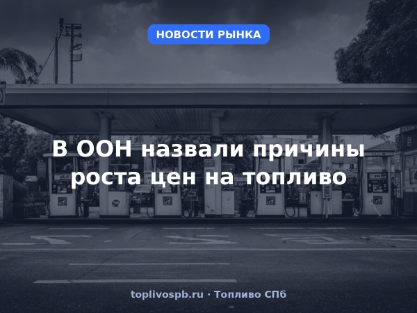 В ООН назвали причины роста цен на топливо