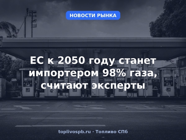 ЕС к 2050 году станет импортером 98% газа, считают эксперты