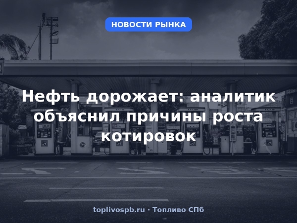 Нефть дорожает: аналитик объяснил причины роста котировок