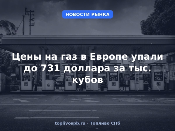Цены на газ в Европе упали до 731 доллара за тыс. кубов